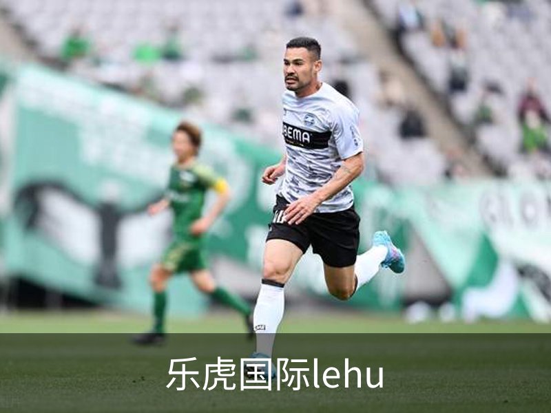 乐虎国际lehu品牌故事